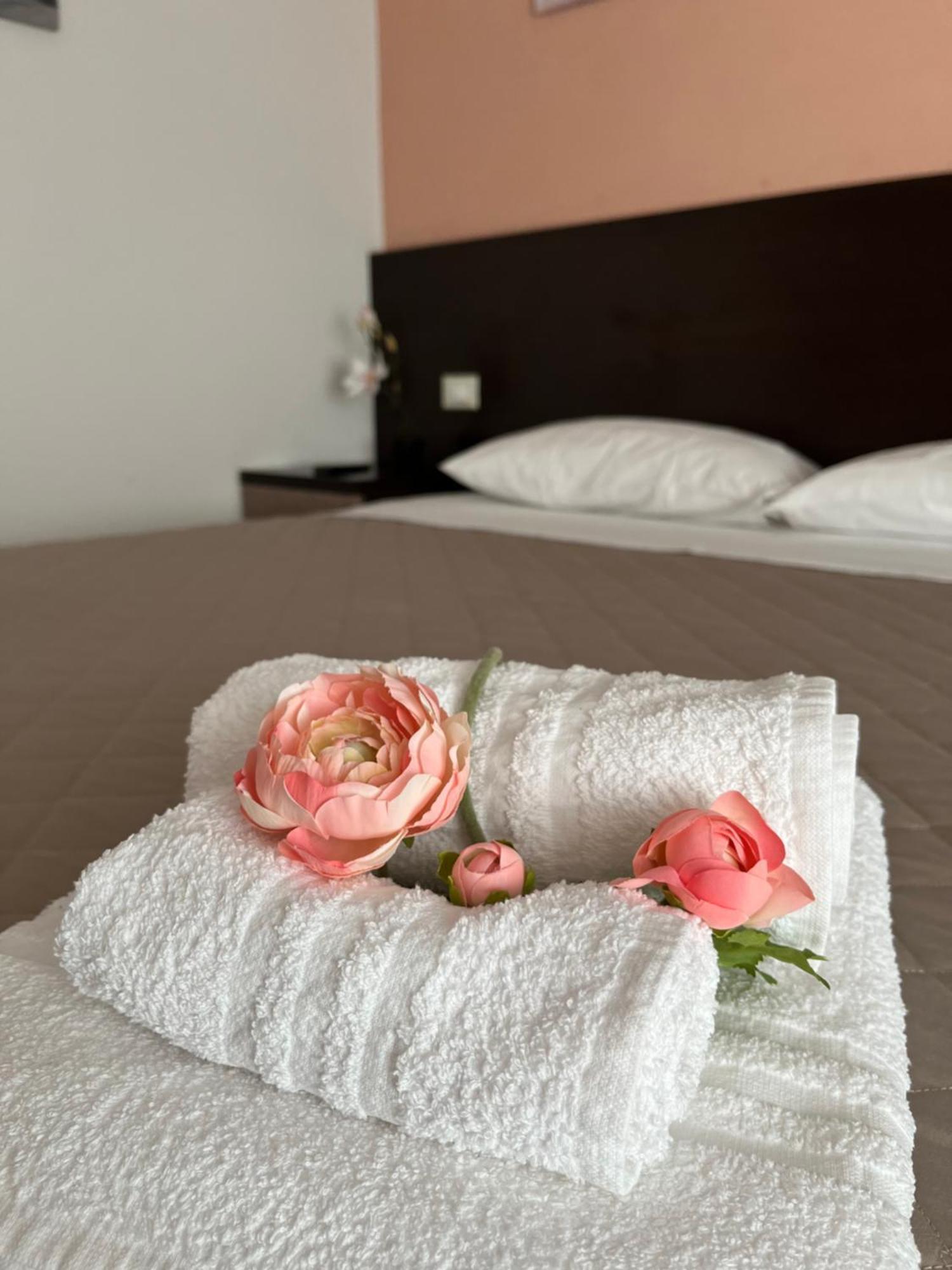 Bed & Breakfast La Rondinella Cerasolo Exteriér fotografie